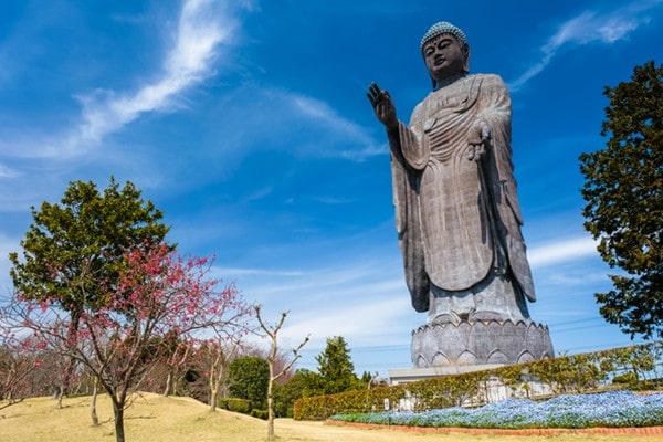 免許合宿茨木のおすすめ