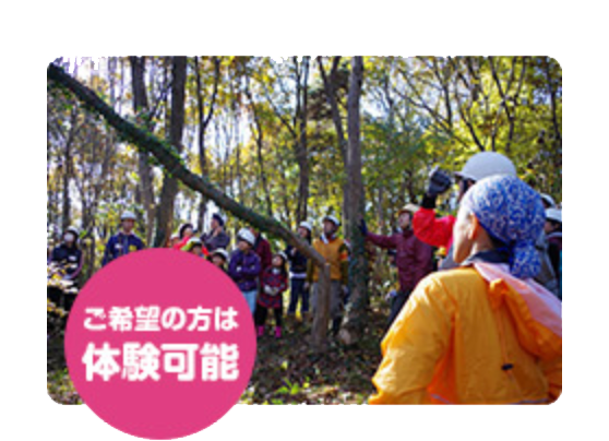 森づくりプロジェクトの様子3