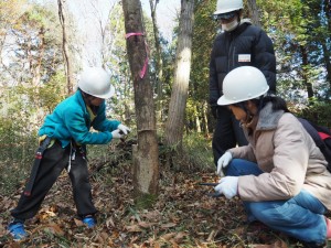 子どもも1本の木を切り倒します